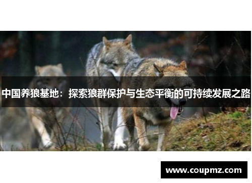 中国养狼基地：探索狼群保护与生态平衡的可持续发展之路