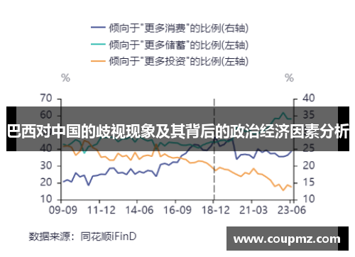 巴西对中国的歧视现象及其背后的政治经济因素分析