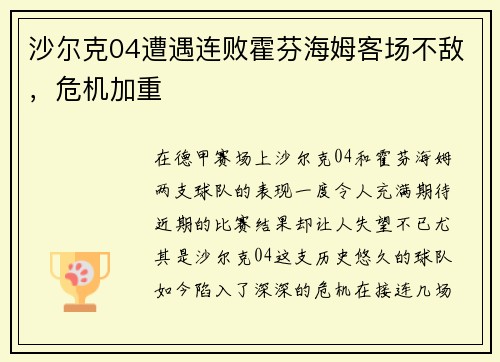 沙尔克04遭遇连败霍芬海姆客场不敌，危机加重